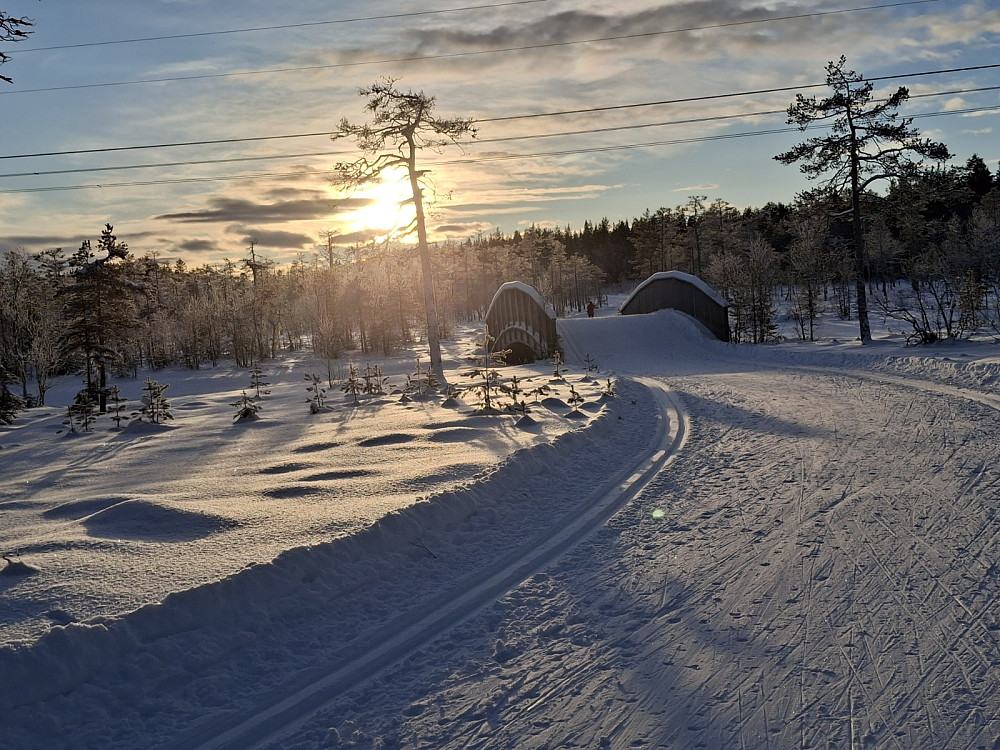 Ved Kubrua