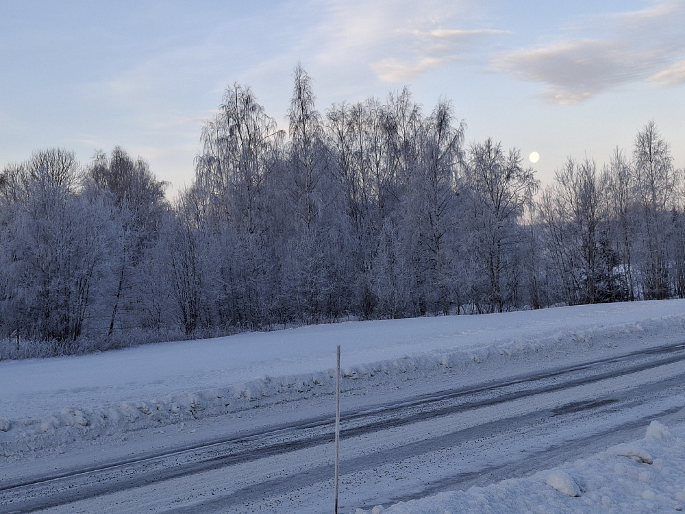 Langs Kringsjåvegen