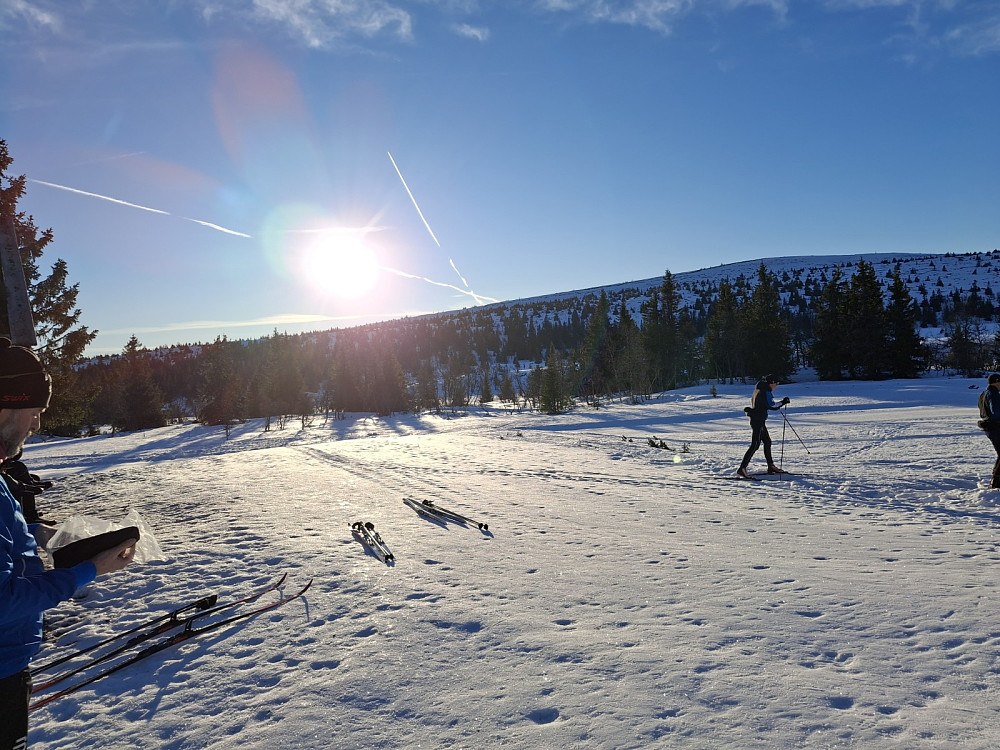 Ved Midtfjellkoia