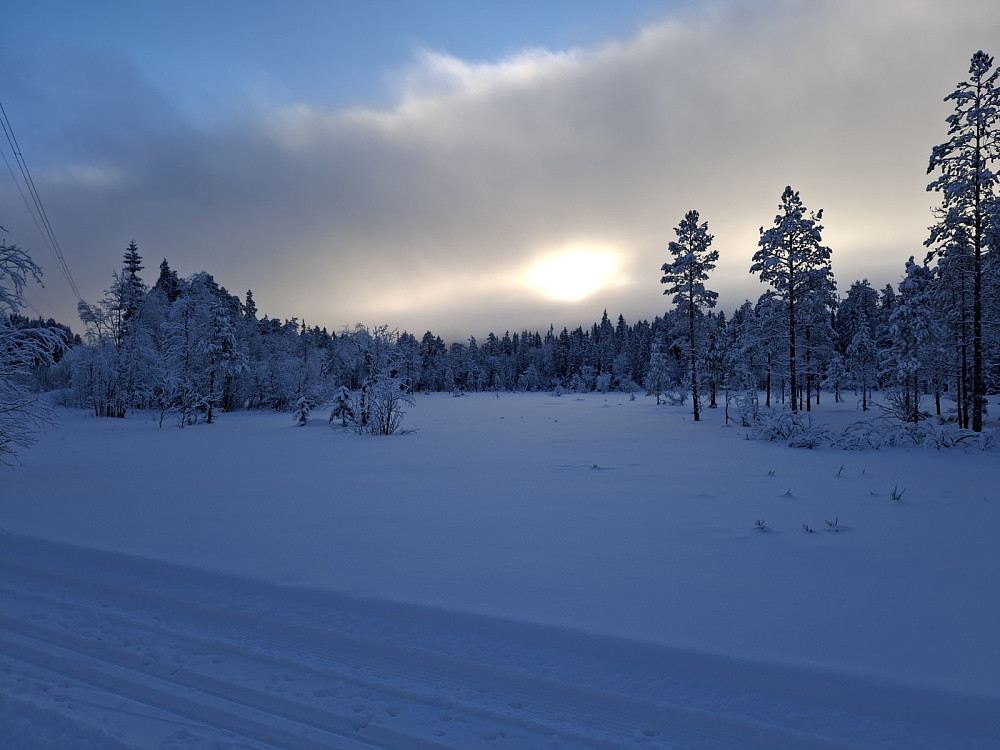 Mot sola der lyslinja krysser Ingalåmi