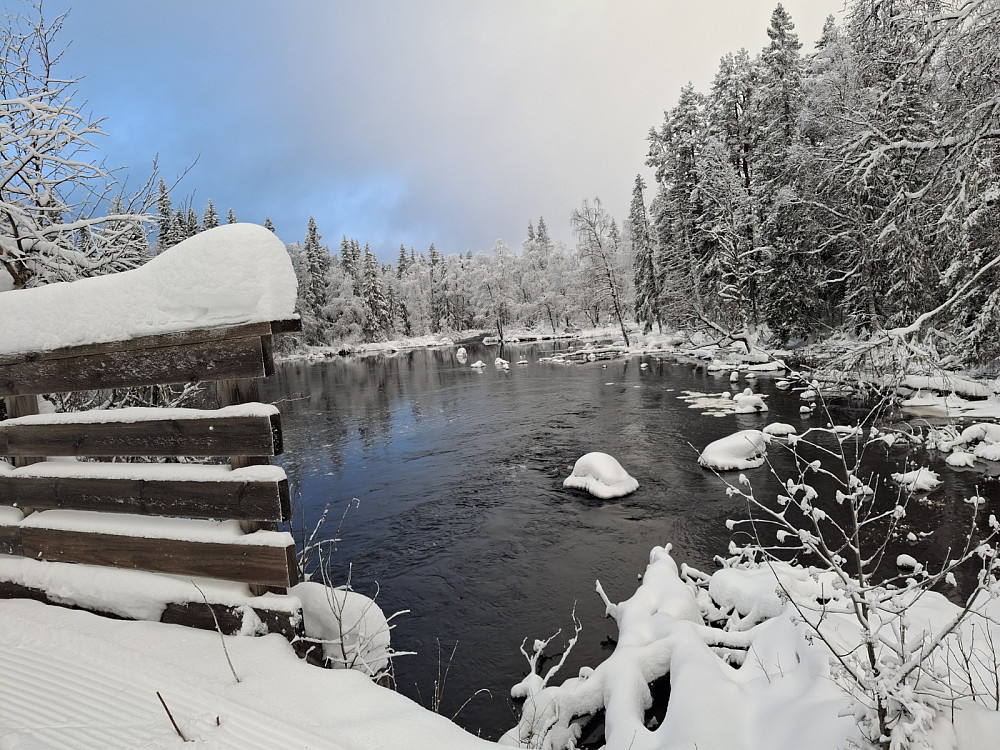 På brua over Mesnaelva ved Mesnasaga