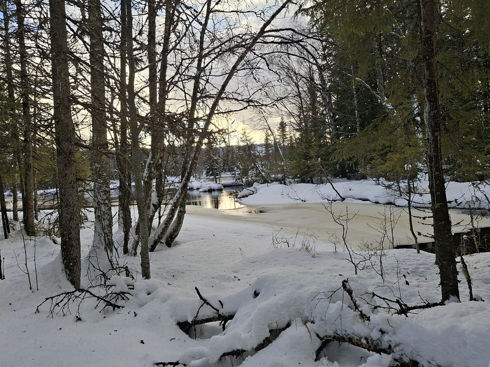 Fra Birkebeinerløypa