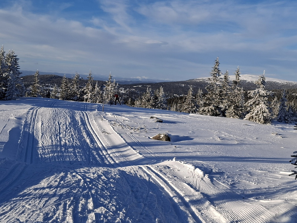 Ved Appelsinhaugen