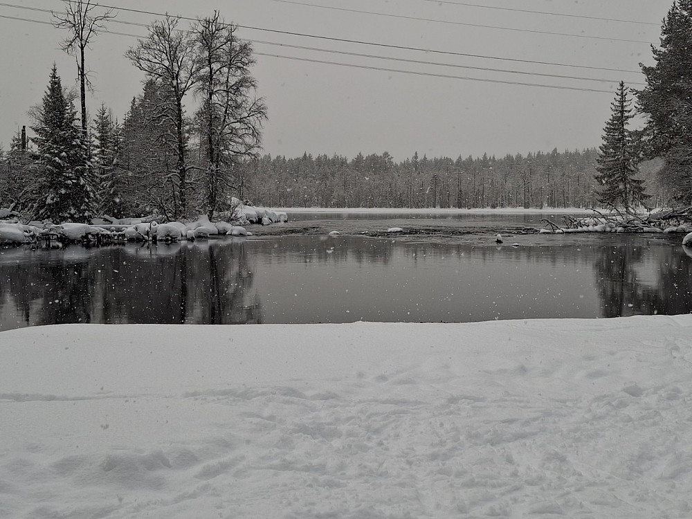 Mesnaelva