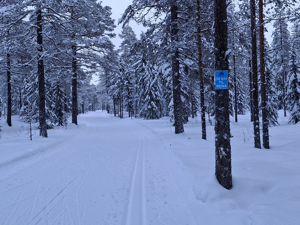 I Birkebeinerløypa