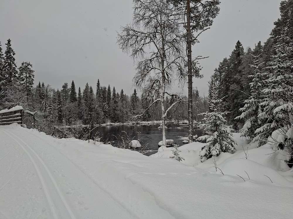 Ved Mesnasaga