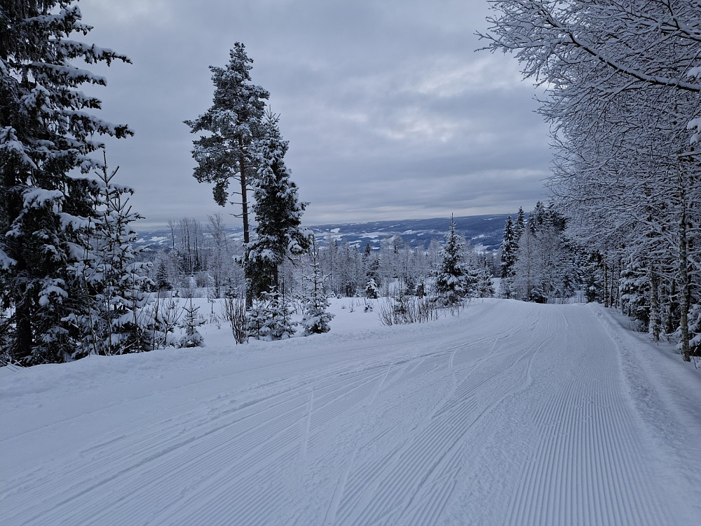 Ned til Lysløypa fra Kanthaugen
