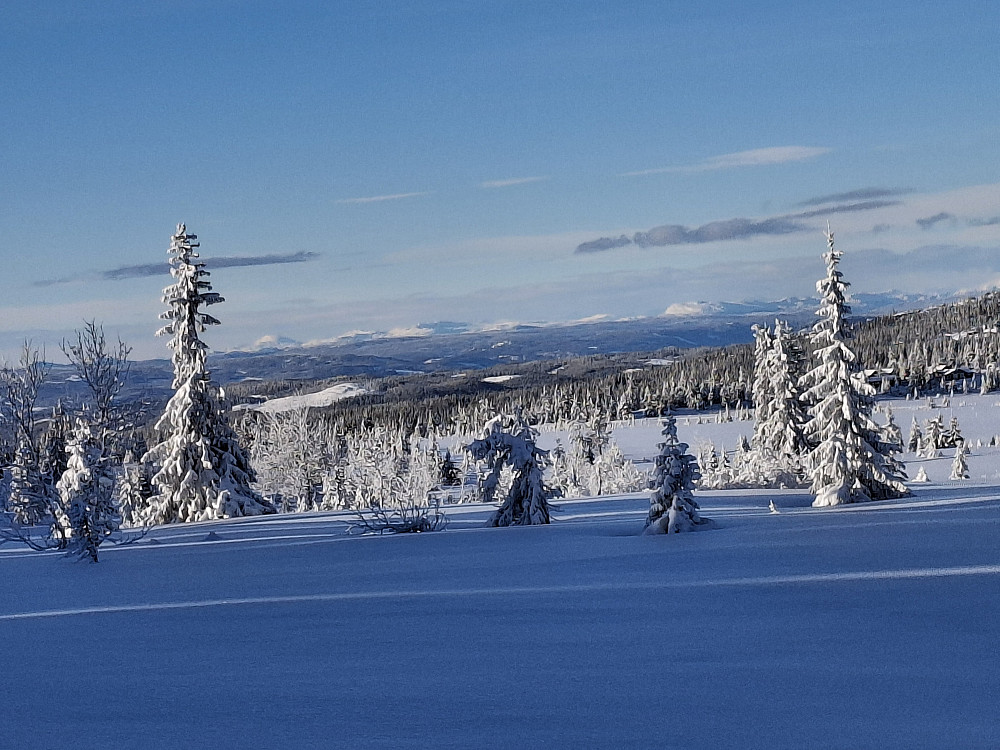 Ved løypekrysset Leindalsstien
