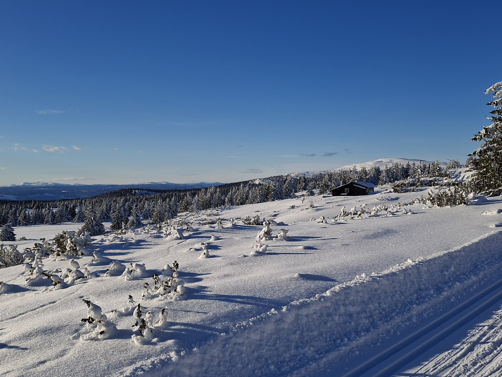I løypa ved Løvisåsen