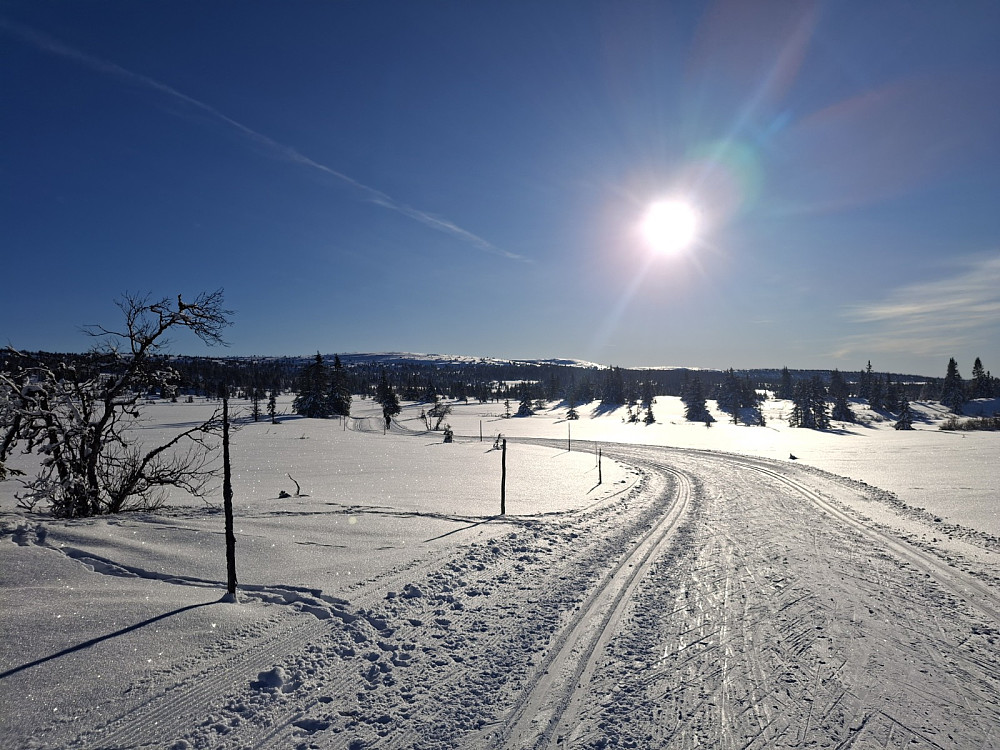 Fra løypa til Kuåsen
