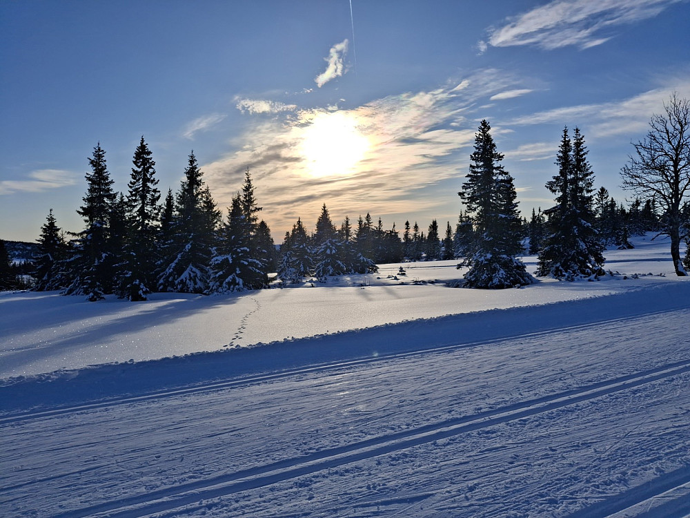 På veg tilbake til Sjusjøen