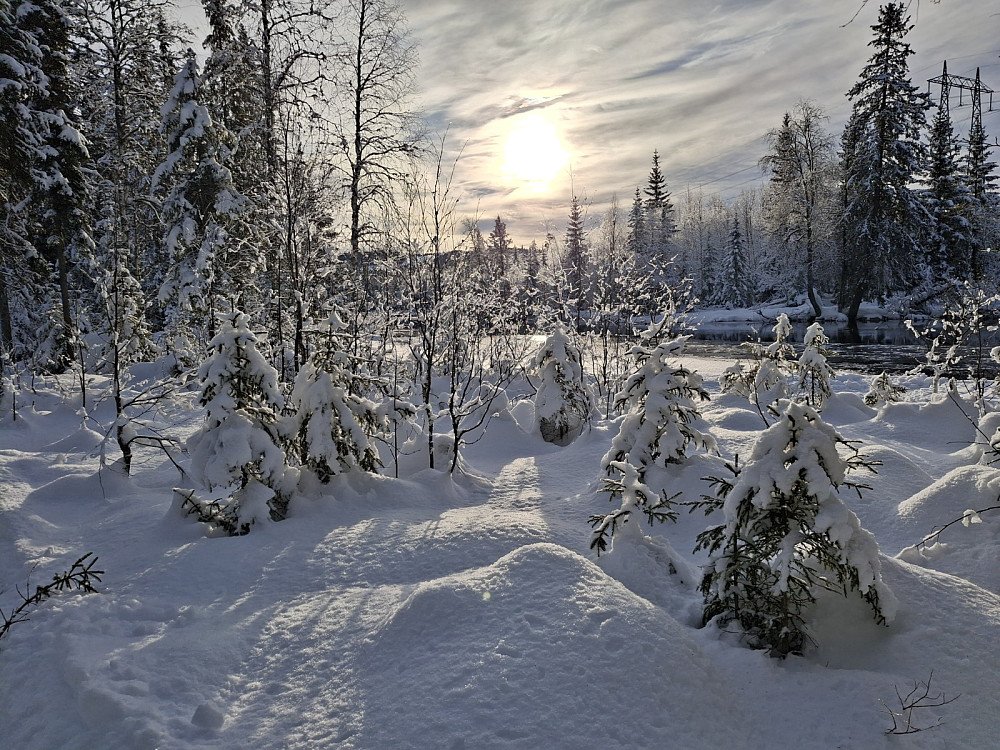 Mesnaelva ved Birkebeinerløypa