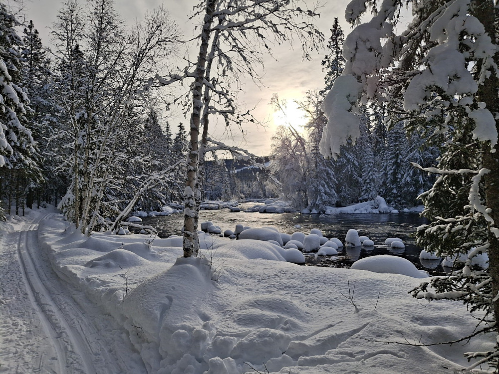 Mesnaelva