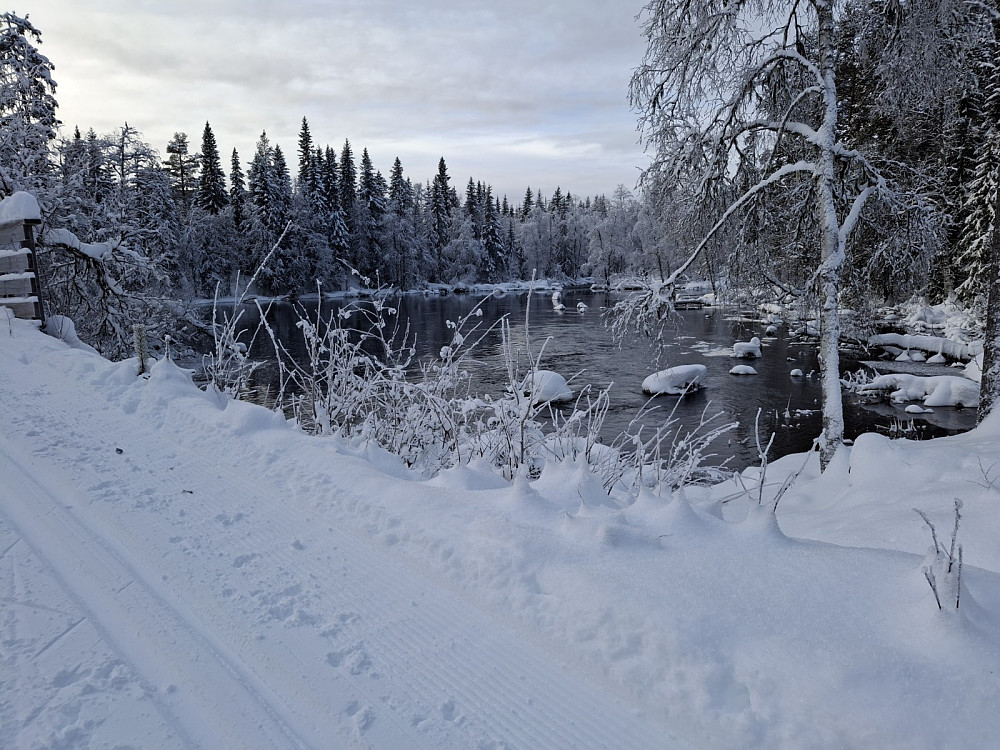 Mesnaelva ved Mesnasaga