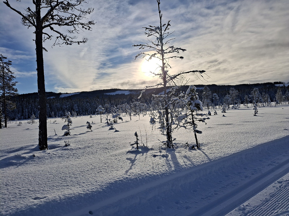 På myrene i Ingalåmi