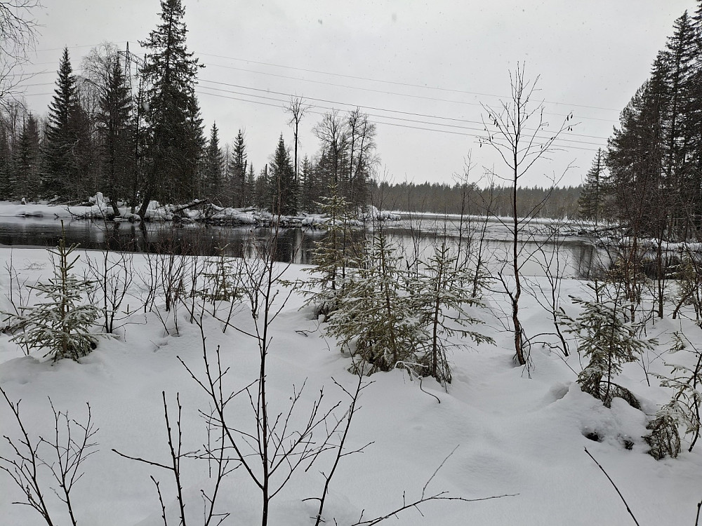 Ved Ingalåmi/Birkebeinerløypa