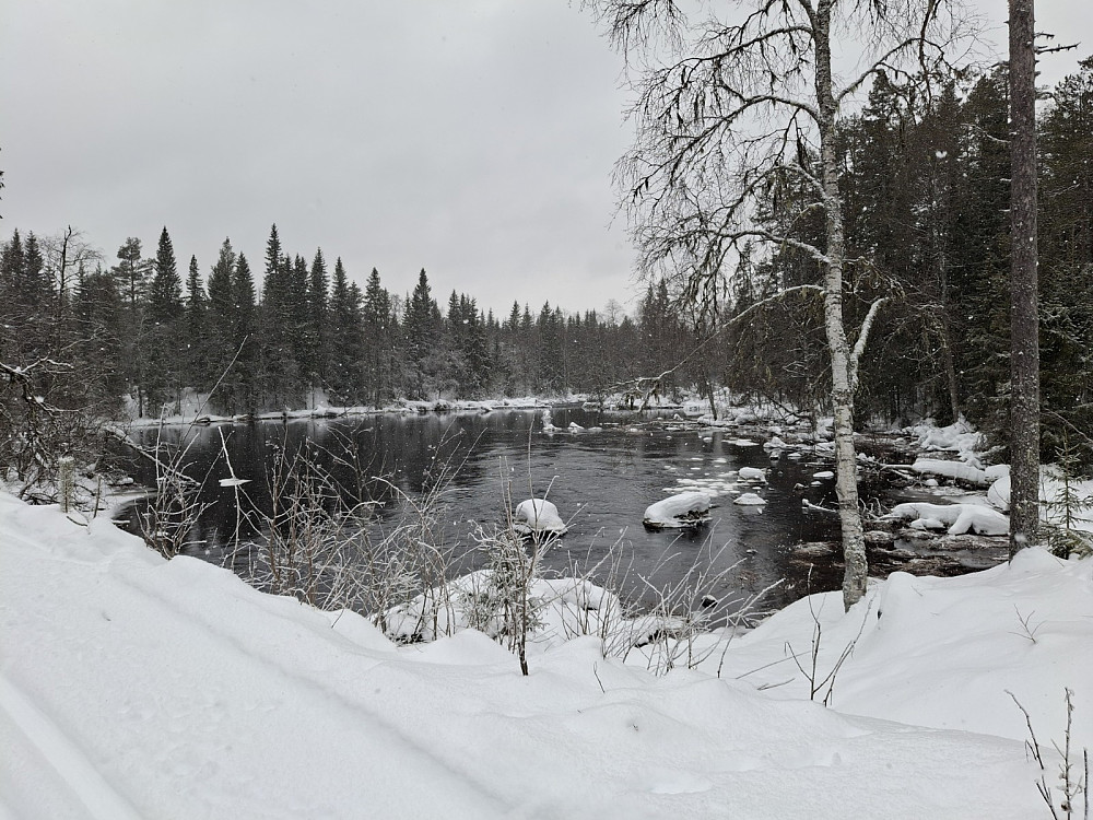 Ved Mesnasaga