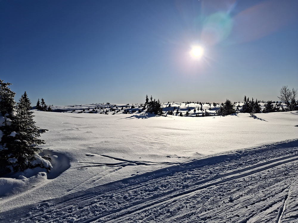 I løypa under Lunkefjell sør