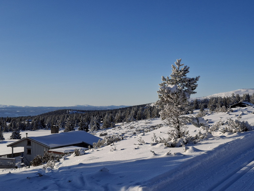  Løypa ved Løvisåsen