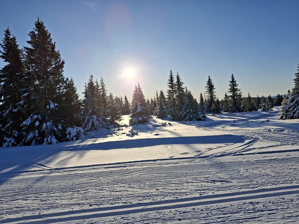 På Snauskallen