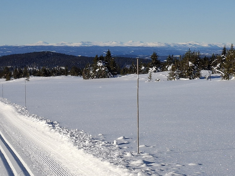 Ned mot Lunkelia