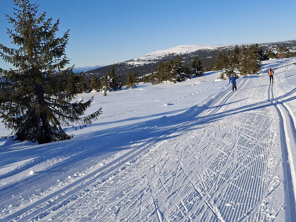 Ned mot Nordseterfjellet