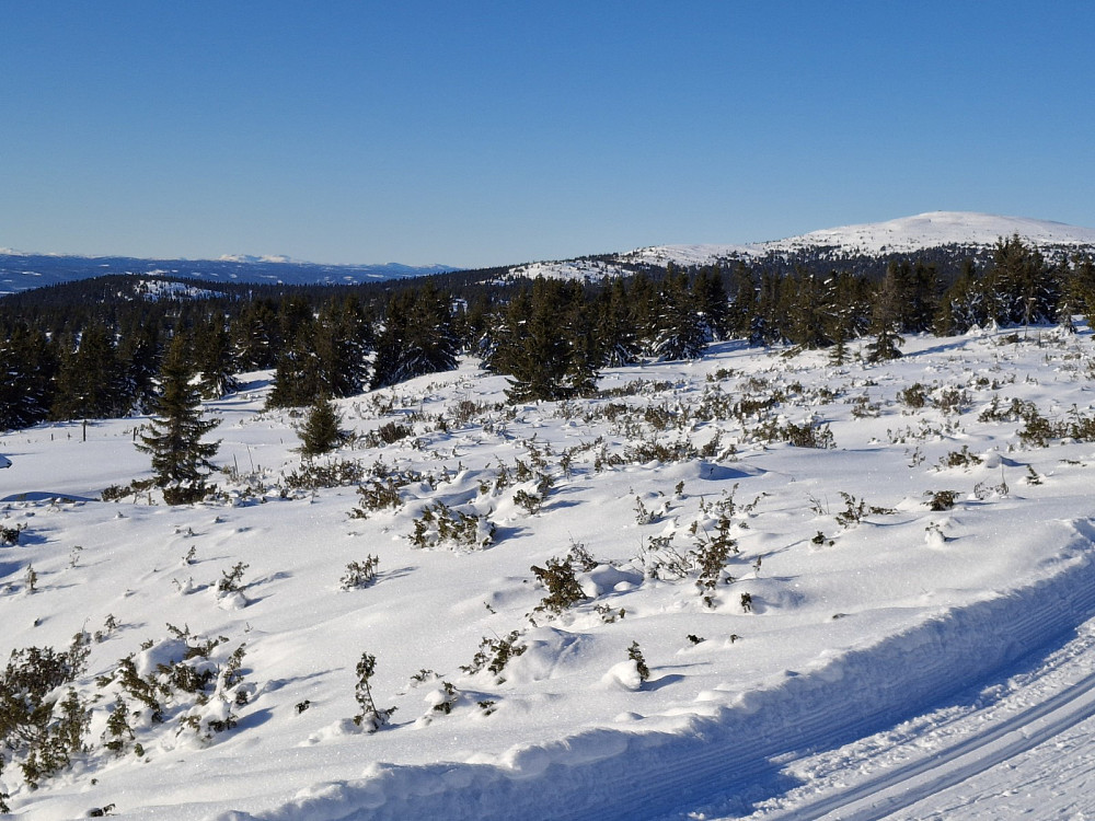 I løypa ved Løvisåsen