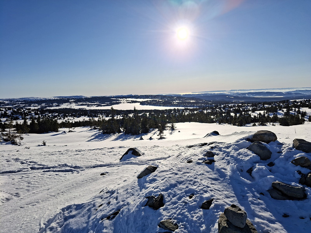 På Sjusjøfjellet øst