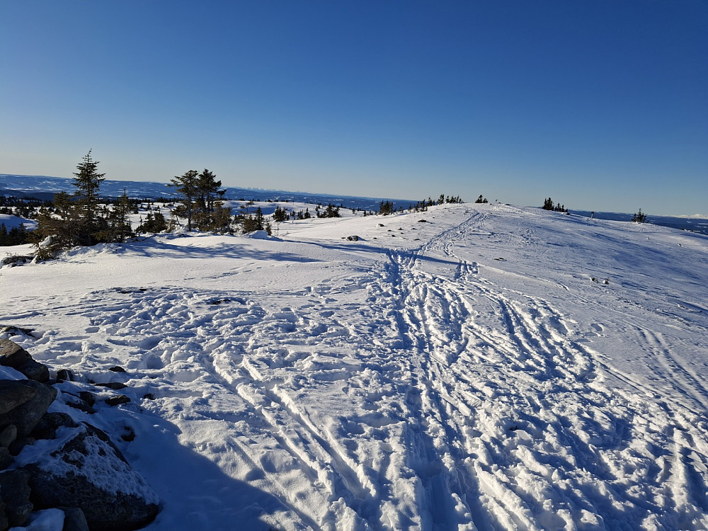 Fra Sjusjøfjellet øst mot Sjusjøfjellet