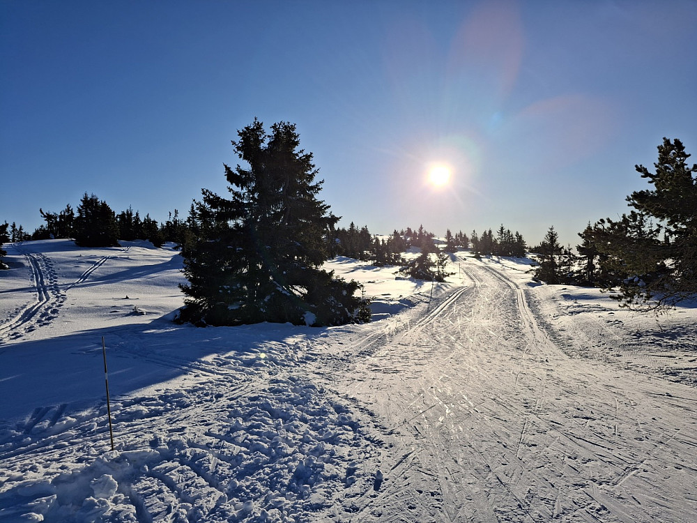 Ved sti-og løypekrysset Nordseterfjellet