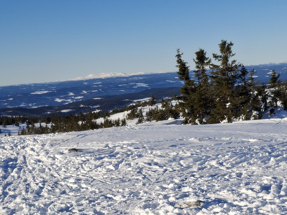 På Sjusjøfjellet