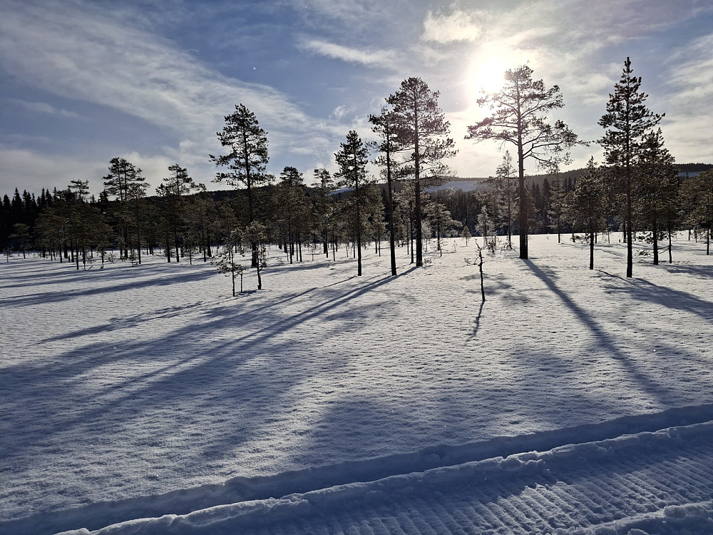 På myrene mot Mesnasaga