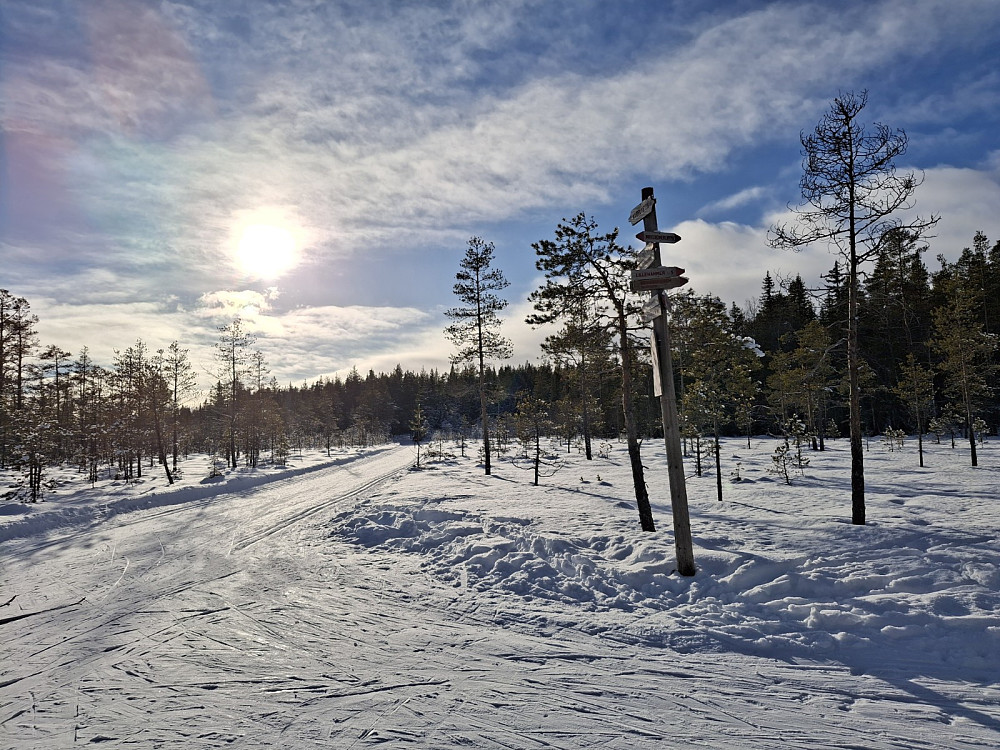Ved Kubrua