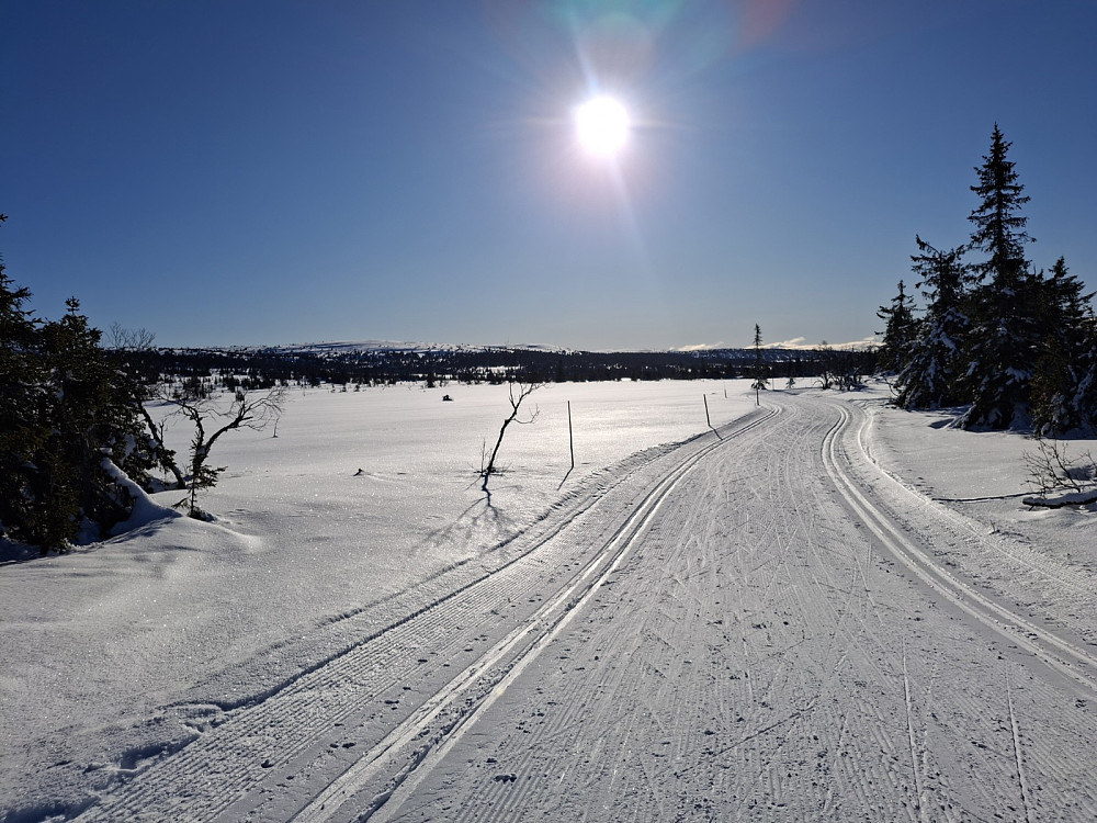 Nedover fra løypa langs Fjellelva 