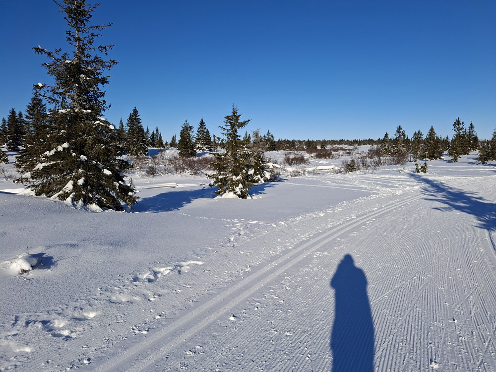 Langs Fjellelva