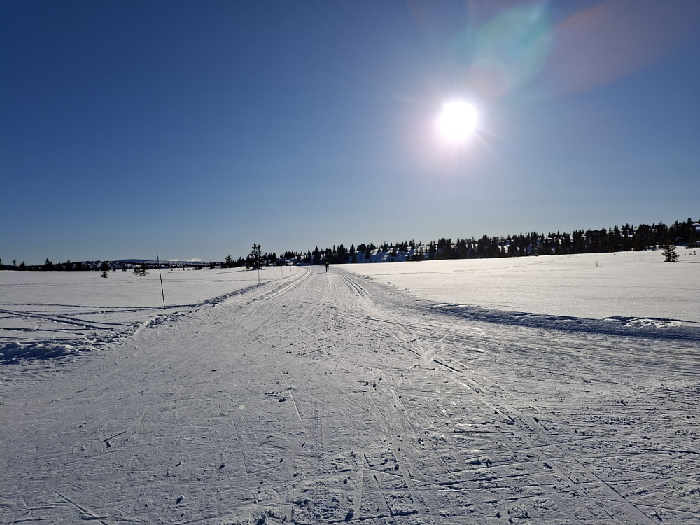 Ved Presttjernet