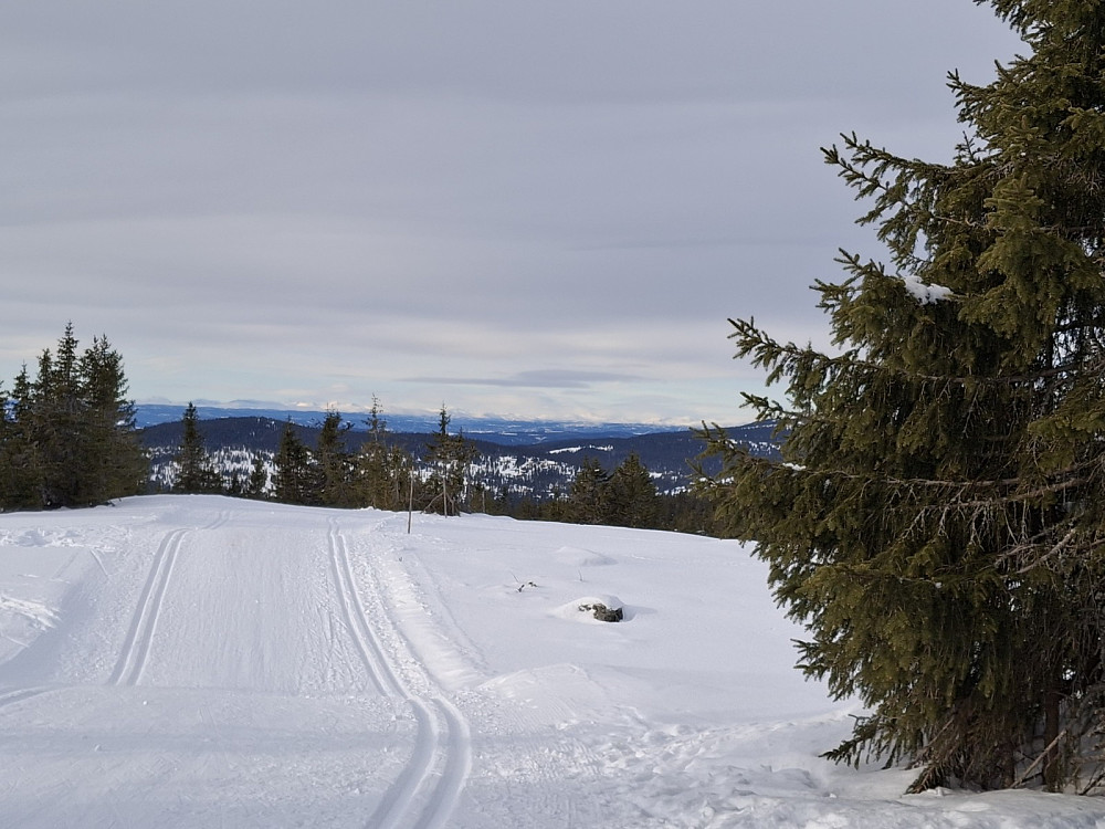 På Appelsinhaugen