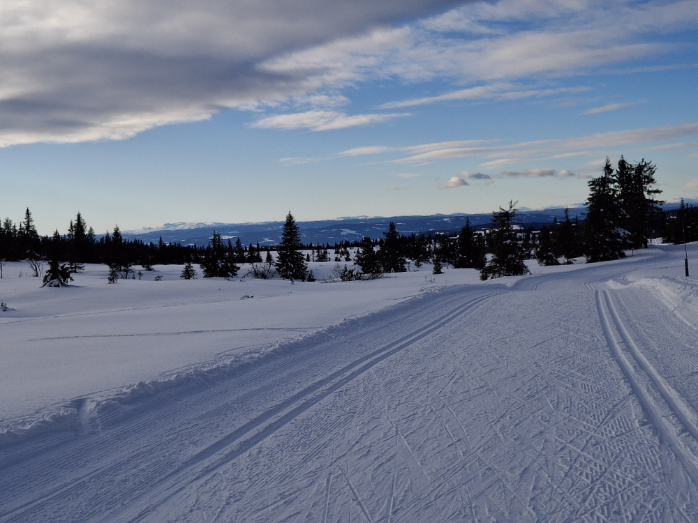Fra løypa i Leindalen