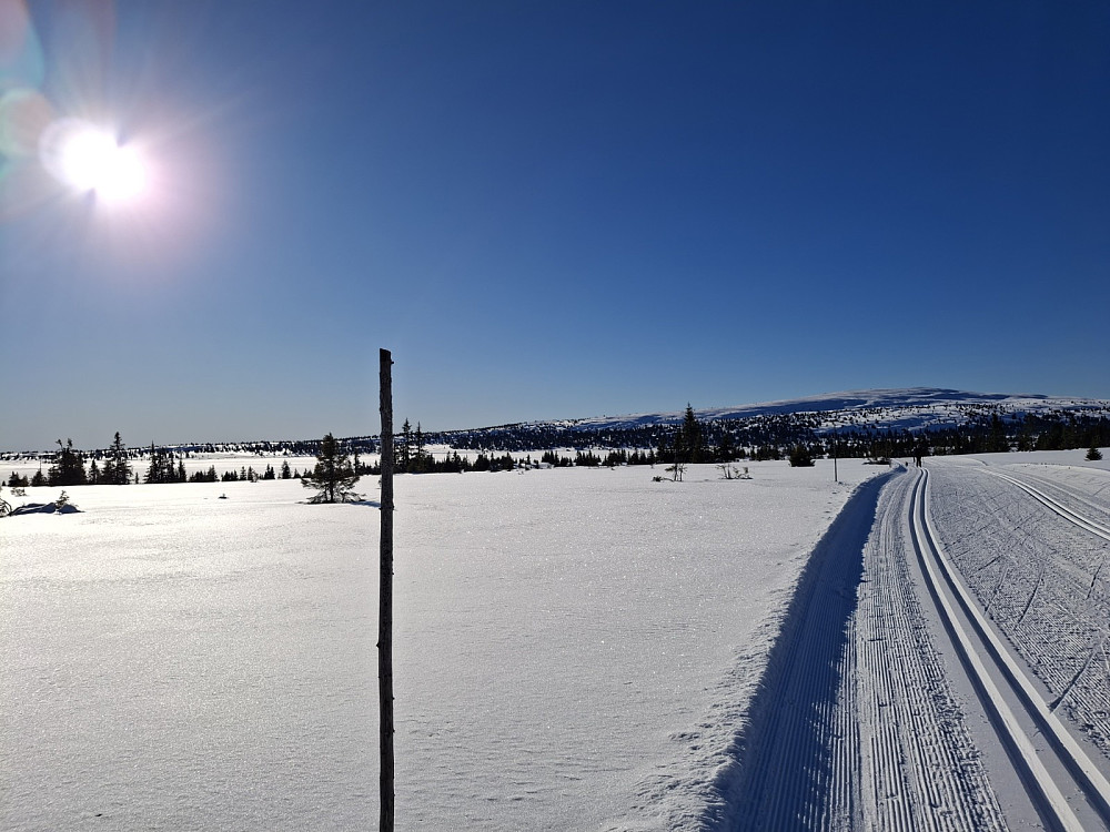Mot Nevelfjell fra løypa opp til Pellevegen