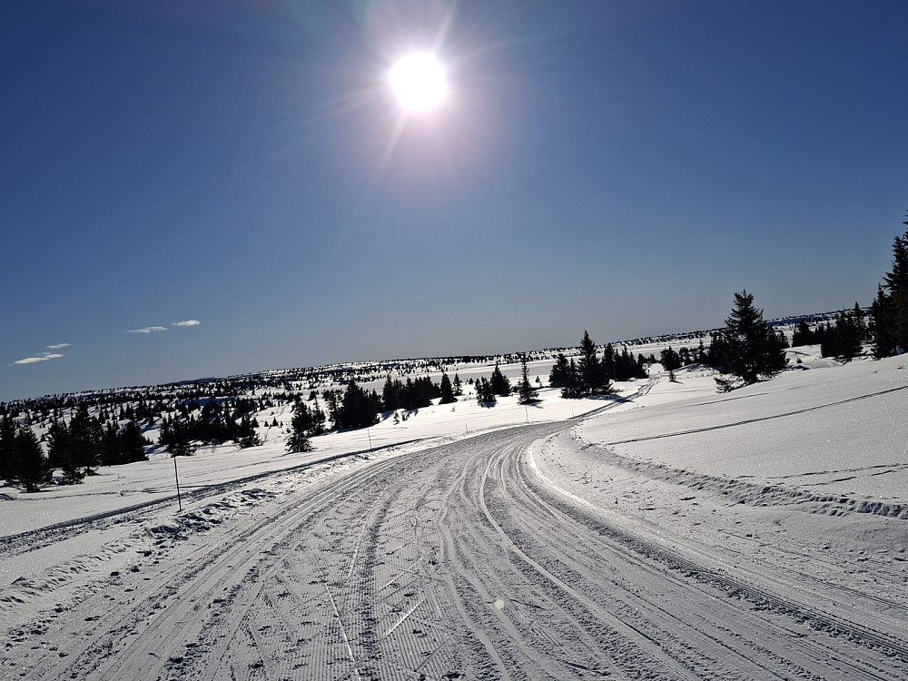 Fra løypa oppover til Hitdalen