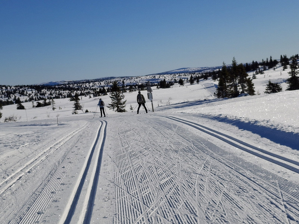 Ved løypekrysset Hitdalen