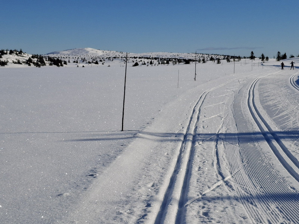 Fra løypa i Hitdalen mot Kriksfjell