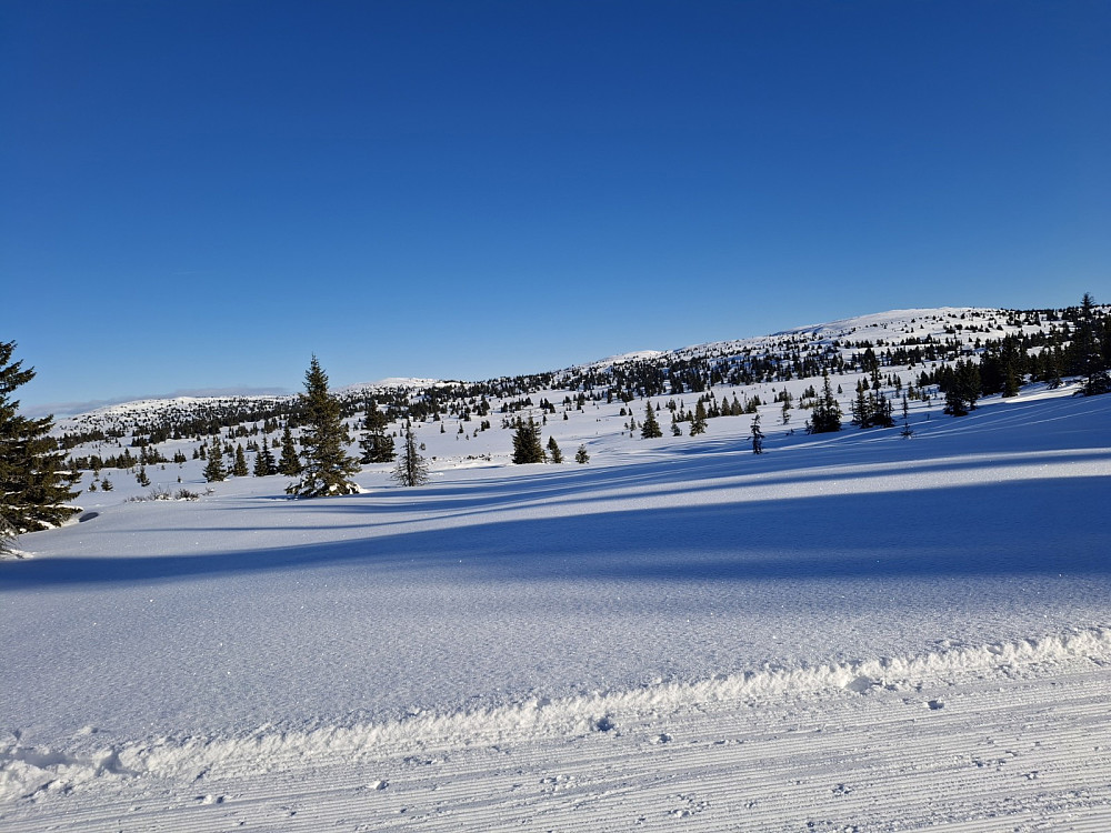 Ser mot Veslefjell, Hitfjell og Reinsfjell