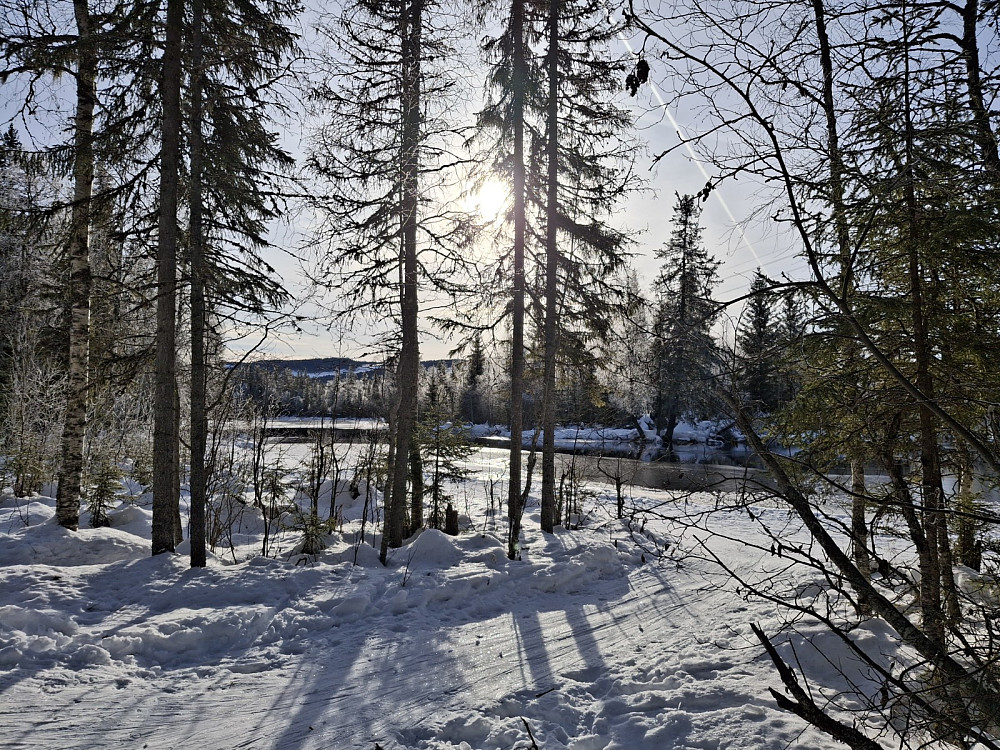 Ved Mesnaelva