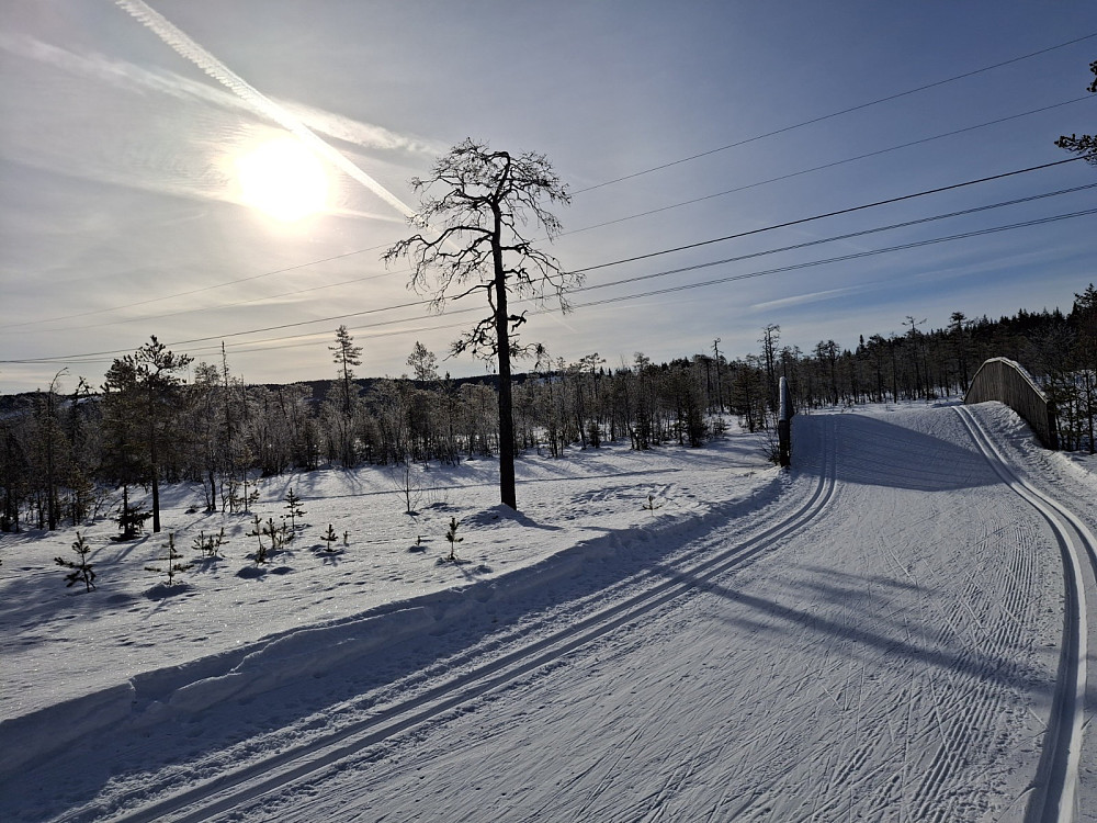 Ved Kubrua