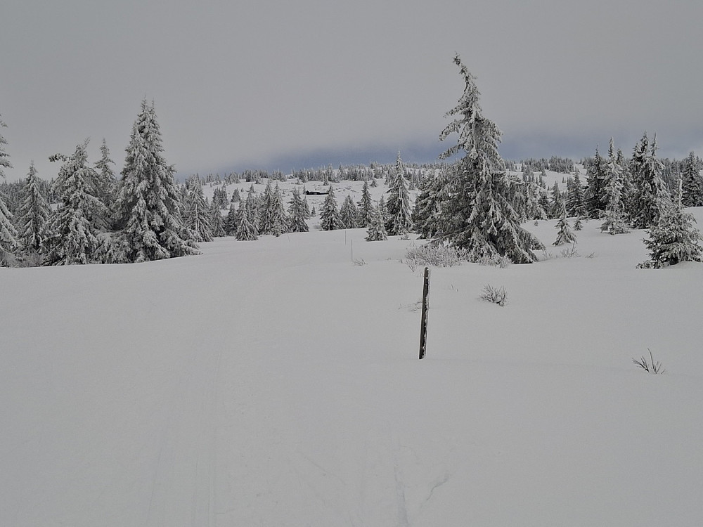 Mot Løvisåsen