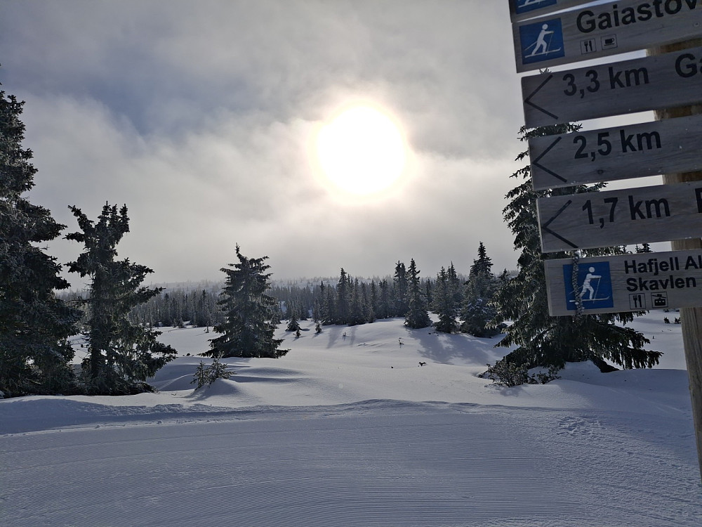 Mot Hafjell, ved krysset der jeg tok løypa over Høgåsen