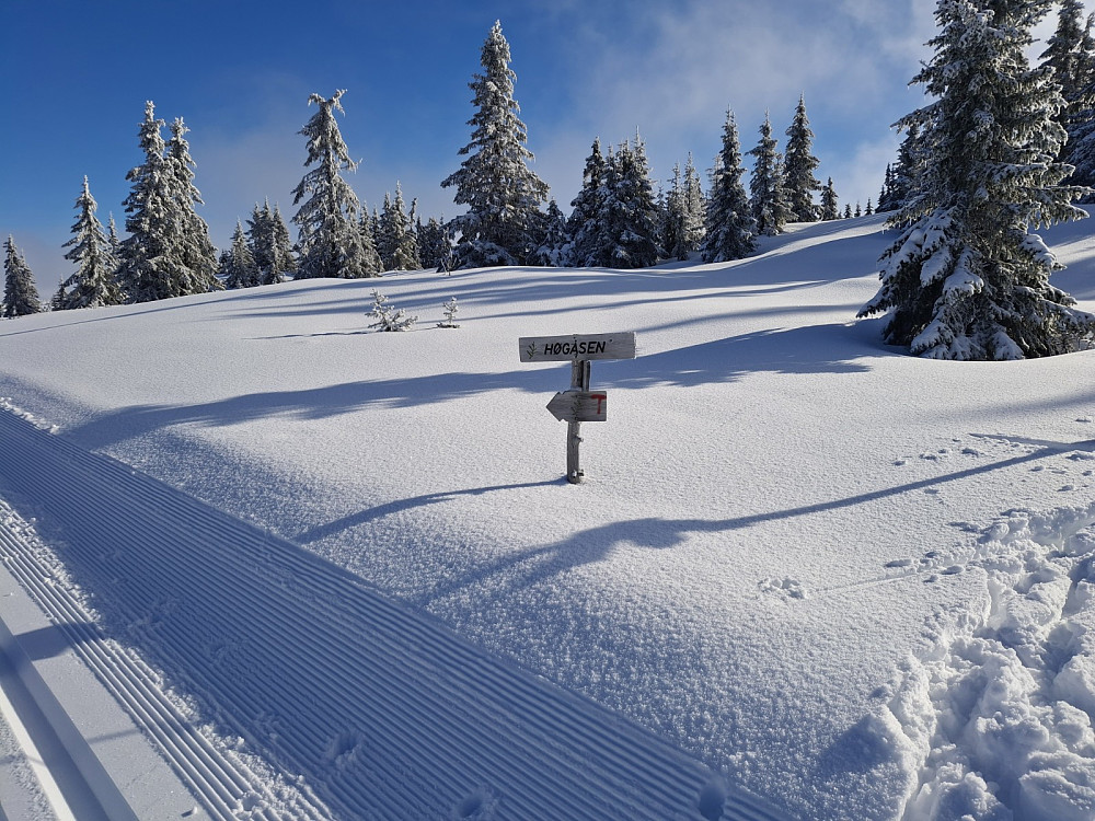 Ved Høgåsen