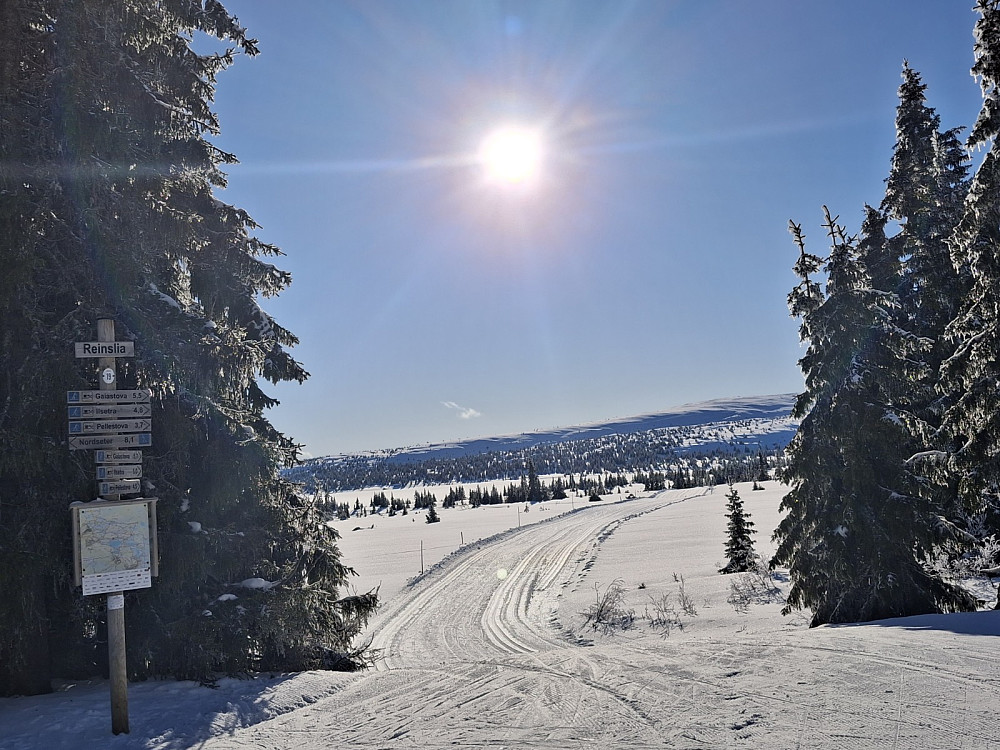 Nevelfjell fra løypekrysset Reinlia, der jeg tok av fra Pellevegen