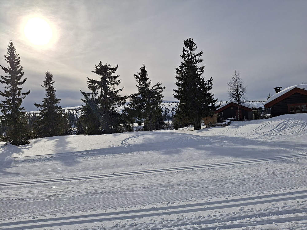 Ved Midtfjellkoia